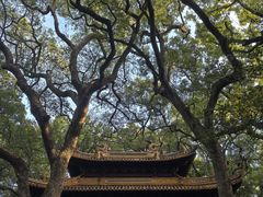 -普陀山风景名胜区-法雨禅寺