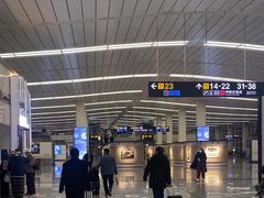 -石家庄正定国际机场-T2航站楼