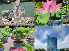 -无锡蠡湖国家湿地公园-蠡园