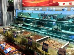 -强记海鲜·大排档(蛇口新街店)