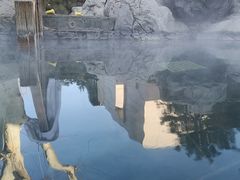 -和园景逸大酒店朗月汤泉