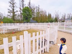 -前小桔亲子创意农场·草莓采摘·露营烧烤