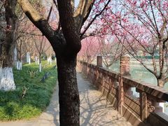 -望江楼公园