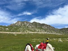 -新疆那拉提国家旅游度假区