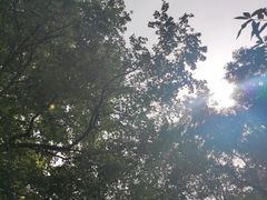 -望湖公园