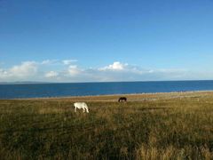 -青海湖国家重点风景名胜区
