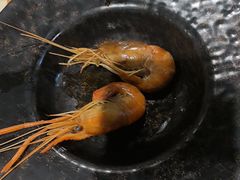 -一绪に寿喜烧自助(世茂广场店)