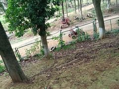 -千龙湖生态旅游度假区