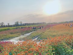 -映月湖中央公园