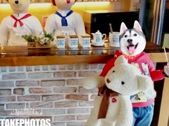 -济州岛泰迪熊博物馆