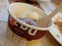 哈根达斯冰淇淋-芭菲盛宴·环球美食(解放碑英利国际店)