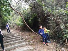 -广州市帽峰山景区