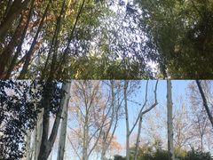 -西安市长乐公园
