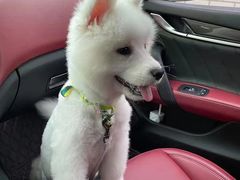 -佳雯宠物医院(金华南路分院)