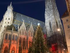 -斯蒂芬主教座堂(Stephansdom)