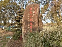 -渤公岛生态公园