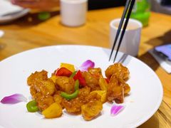 -枣子树·素食餐厅(普陀山店)