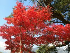 -冕宁灵山寺