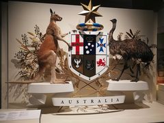 -墨尔本博物馆(Melbourne Museum)