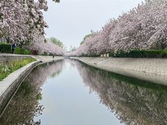 -海棠花溪(元大都城垣遗址公园)