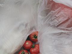 -大自然农场蔬菜草莓采摘园