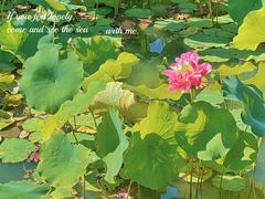 -停车场(海乐路)