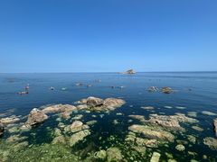 -养马岛旅游度假区