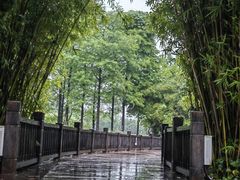 -洋湖国家湿地公园