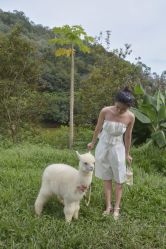 点击看大图 -花漾摄影优选工作室(东莞原创作品店)