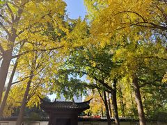 -郑和公园