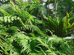 -国家植物园南园