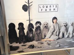 -三井奥特莱斯购物城(爵士之梦长岛店)