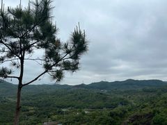 -凤岗南门山森林公园