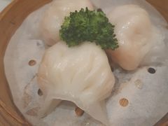 -京华世纪酒店·潮苑大酒楼(益华百货店)