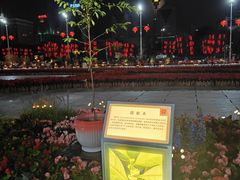-天河体育中心