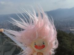 -缙云山景区