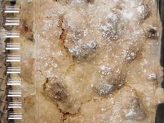 -BreadTalk面包新语·烘焙蛋糕(领展购物广场店)
