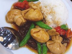 香菇豆腐饭-宜家·瑞典风味餐厅(北京西红门店)