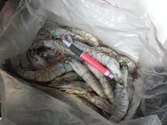 野夫水产专业经营海虾-大东门农贸市场(东顺城街)