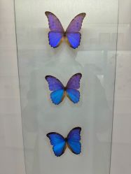 -酷嗒动物文化乐园(cutezoo西溪乐天城店)