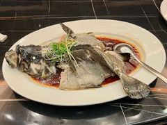 清蒸海青斑-汕头龙光喜来登酒店-采悦轩中餐厅
