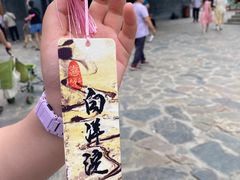 -白洋淀景区