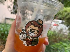-SAFARI COFFEE