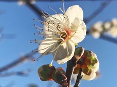 -广州市流溪河国家森林公园