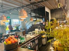 -Apollo·西班牙小酒馆(安福路店)