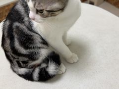 -美联众合24小时·皮肤科·外科·全科诊疗中心(华苑分院)