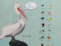 -陕西科学技术馆