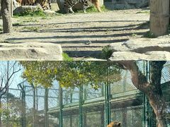 -上海野生动物园