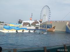 -秦皇岛乐岛海洋王国