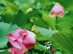 -湖南烈士公园(芙蓉区)